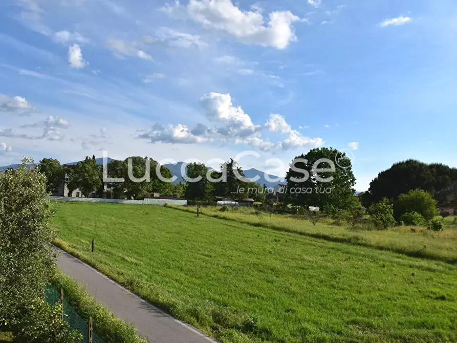 Immagine 25 di Casa colonica in vendita  a Capannori