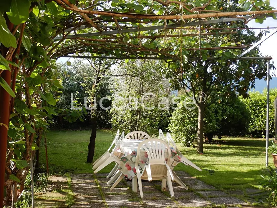 Immagine 28 di Casa colonica in vendita  a Capannori