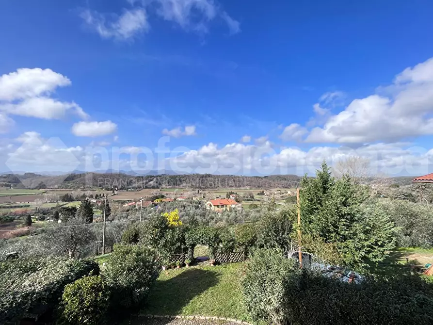 Immagine 5 di Villa in vendita  a Crespina Lorenzana