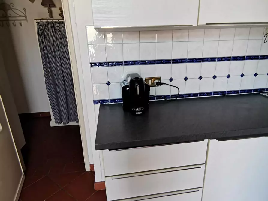 Immagine 19 di Casa semindipendente in affitto  a Forte Dei Marmi