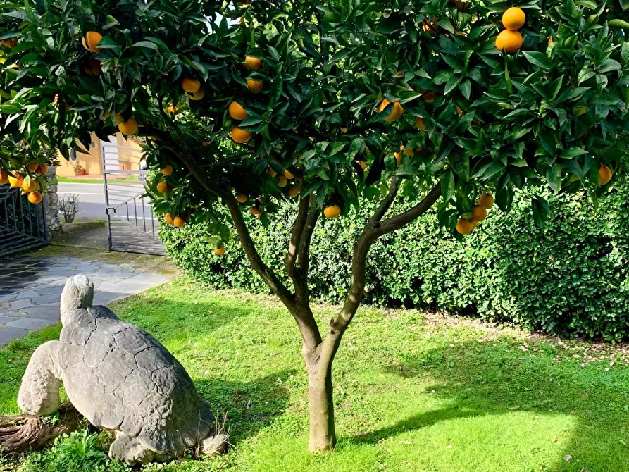Immagine 27 di Casa semindipendente in affitto  a Forte Dei Marmi