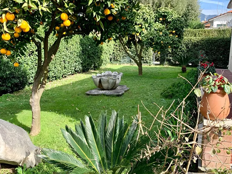 Immagine 24 di Casa semindipendente in affitto  a Forte Dei Marmi