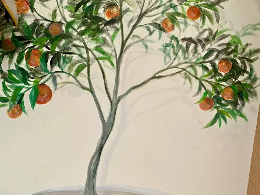 Immagine 18 di Casa bifamiliare in affitto  a Forte Dei Marmi