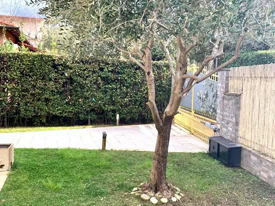 Immagine 3 di Casa bifamiliare in affitto  a Forte Dei Marmi