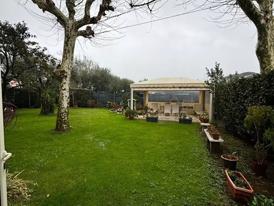 Immagine 1 di Appartamento in affitto  a Pietrasanta