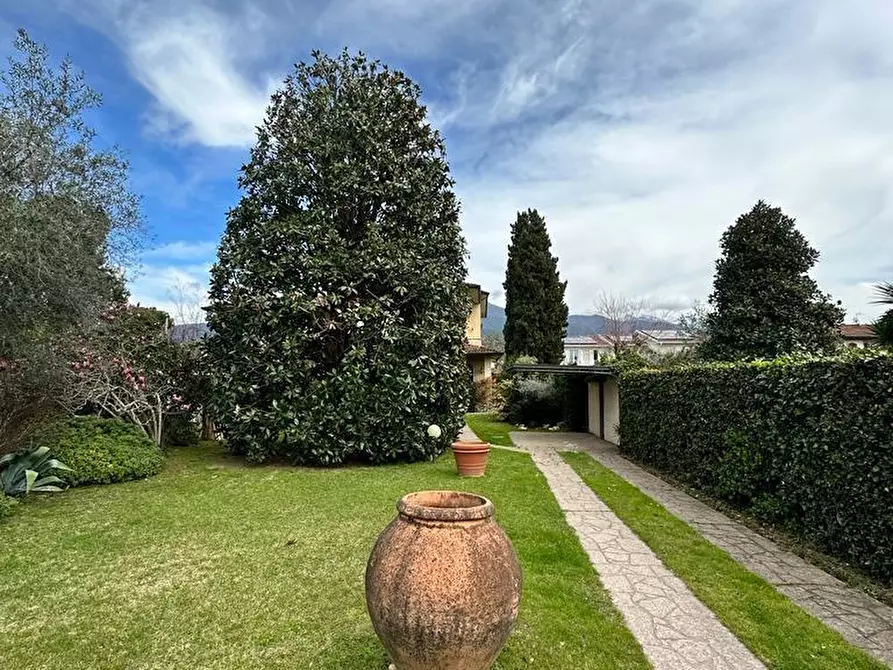 Immagine 6 di Villa in affitto  a Montignoso