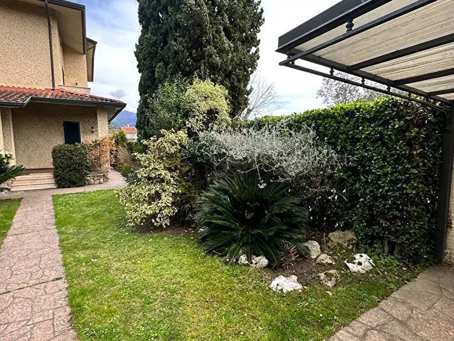 Immagine 3 di Villa in affitto  a Montignoso