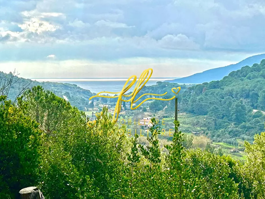 Immagine 14 di Villa in vendita  a Porto Azzurro