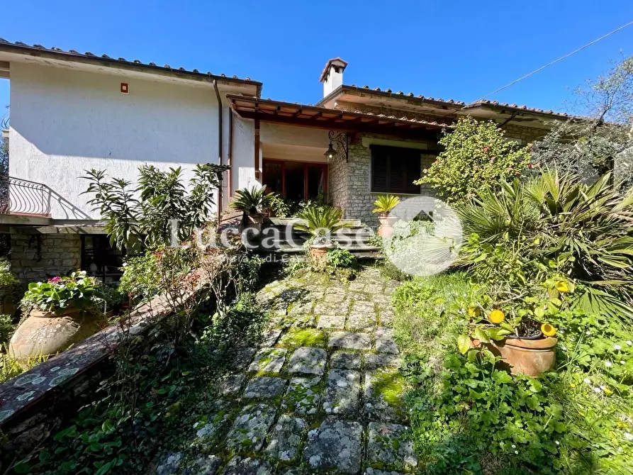 Immagine 1 di Villa in vendita  a Pescia