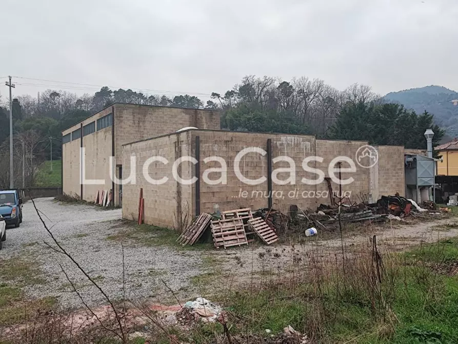 Immagine 7 di Attività artigianale in vendita  a Lucca