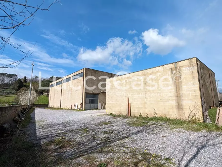 Immagine 3 di Attività artigianale in vendita  a Lucca