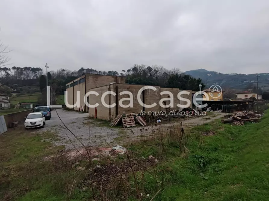 Immagine 5 di Attività artigianale in vendita  a Lucca