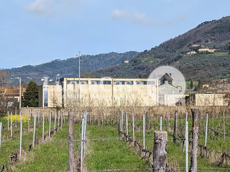 Immagine 1 di Attività artigianale in vendita  a Lucca