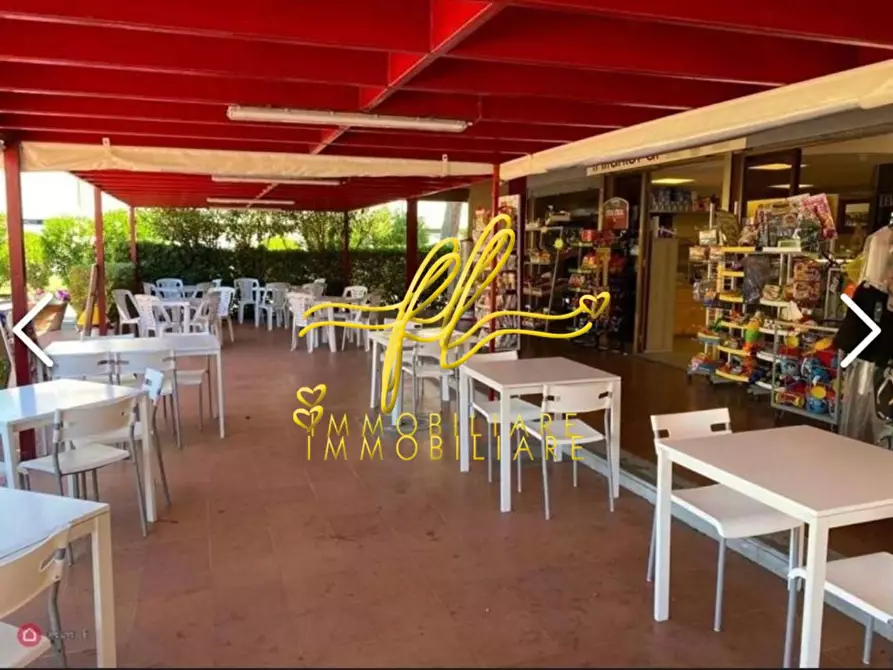 Immagine 4 di Locale commerciale in vendita  a Bibbona