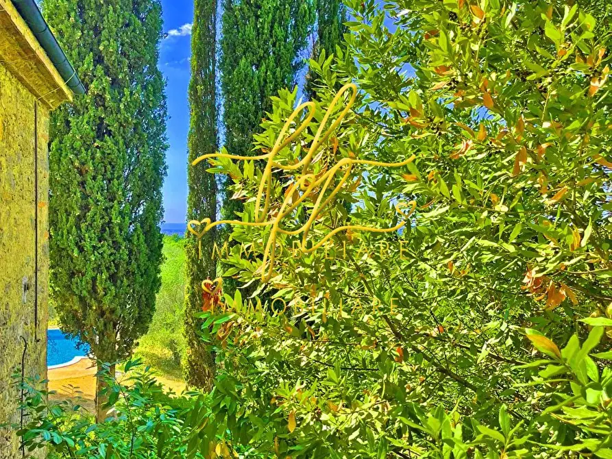 Immagine 3 di Casa indipendente in vendita  a Guardistallo