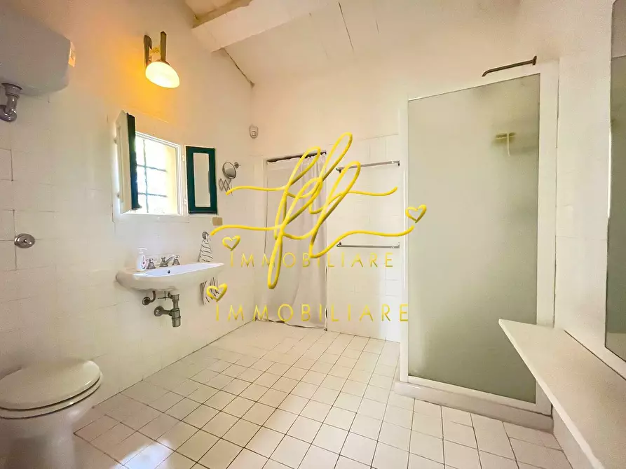 Immagine 23 di Casa indipendente in vendita  a Guardistallo