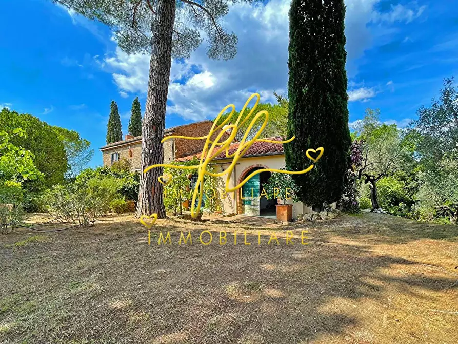 Immagine 24 di Casa indipendente in vendita  a Guardistallo