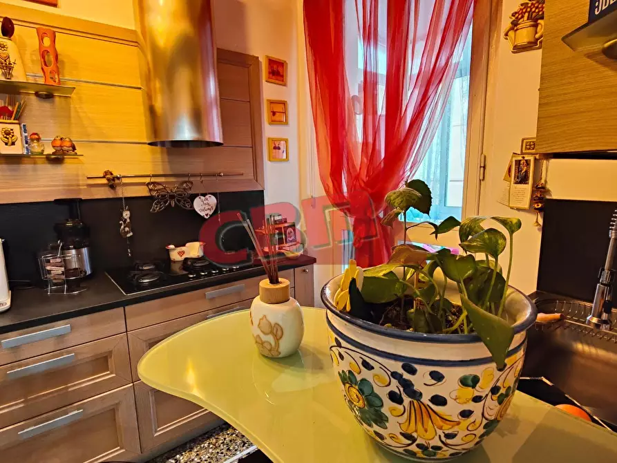 Immagine 11 di Appartamento in vendita  a Livorno