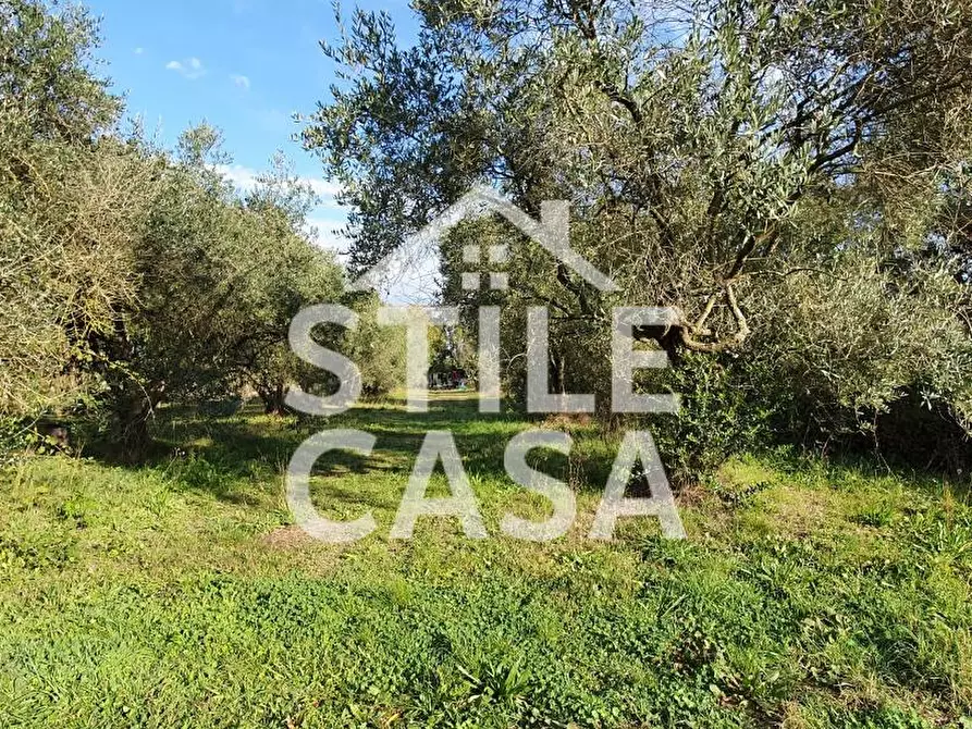 Immagine 2 di Magazzino in vendita  a Fucecchio