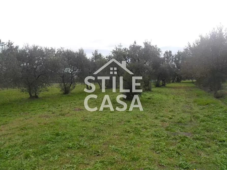 Immagine 11 di Magazzino in vendita  a Fucecchio