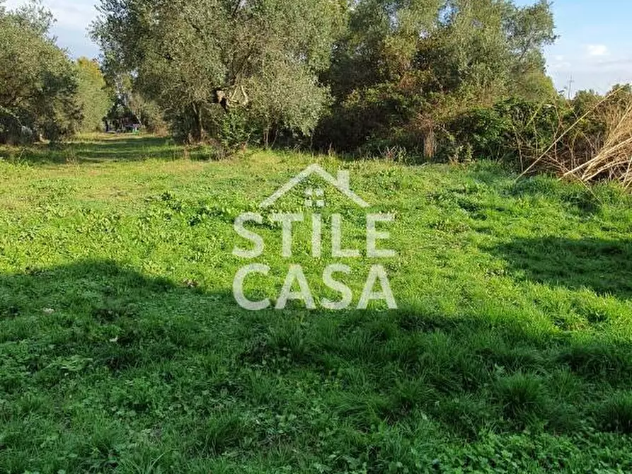 Immagine 4 di Magazzino in vendita  a Fucecchio