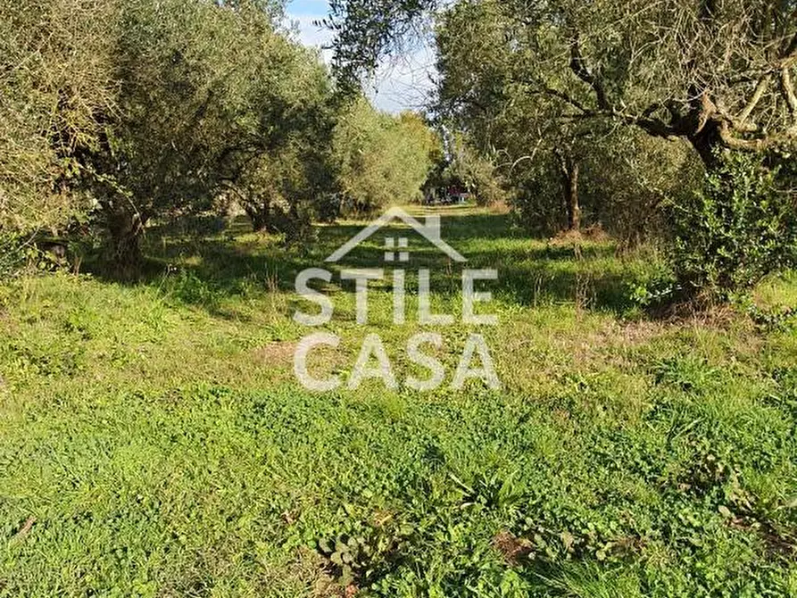 Immagine 3 di Magazzino in vendita  a Fucecchio