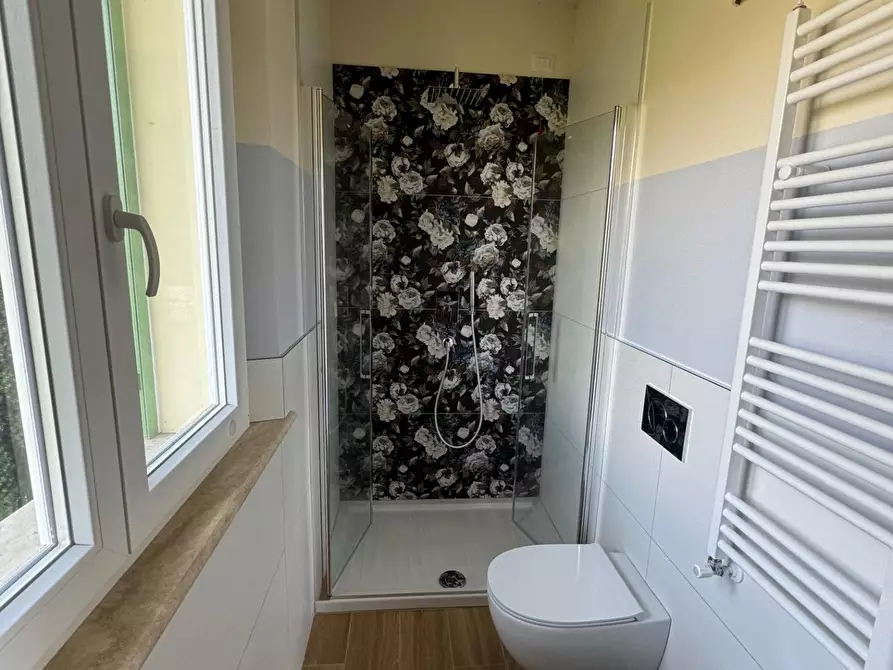 Immagine 25 di Villa in affitto  a Forte Dei Marmi