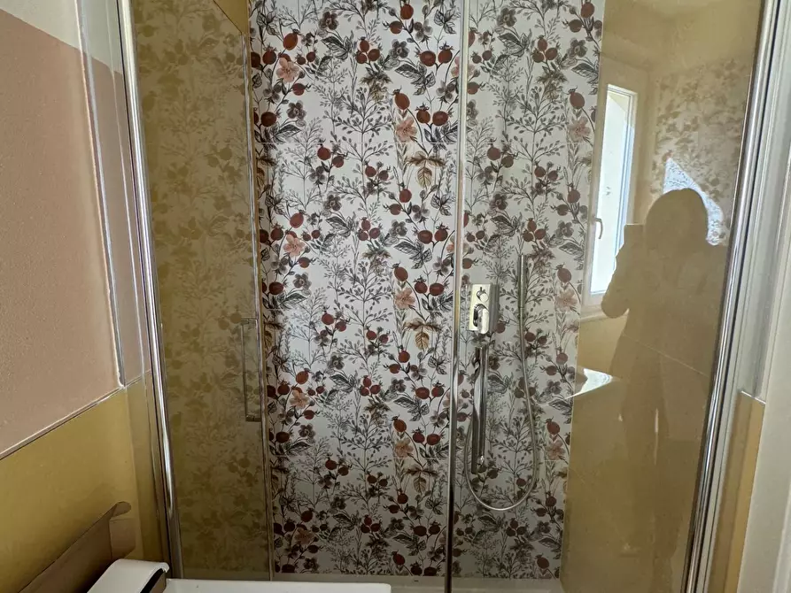 Immagine 29 di Villa in affitto  a Forte Dei Marmi