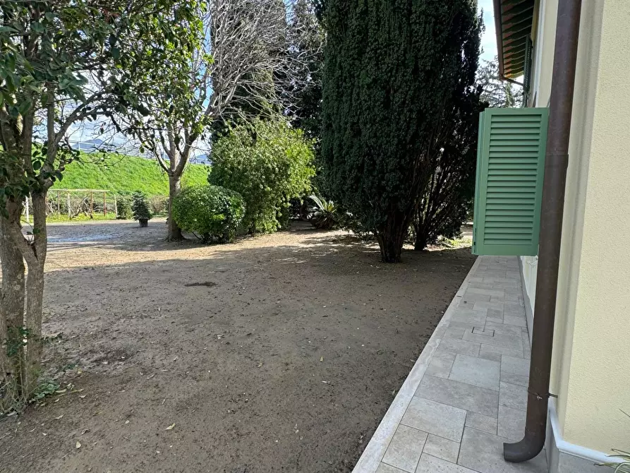 Immagine 12 di Villa in affitto  a Forte Dei Marmi