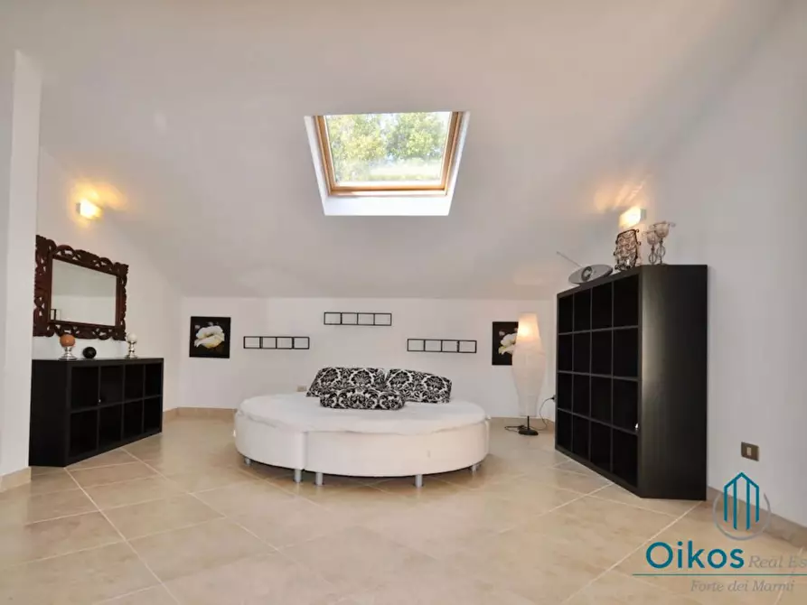 Immagine 13 di Villa in affitto  a Forte Dei Marmi