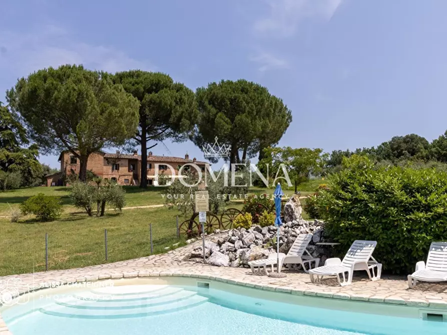 Immagine 3 di Casa colonica in vendita  a Siena