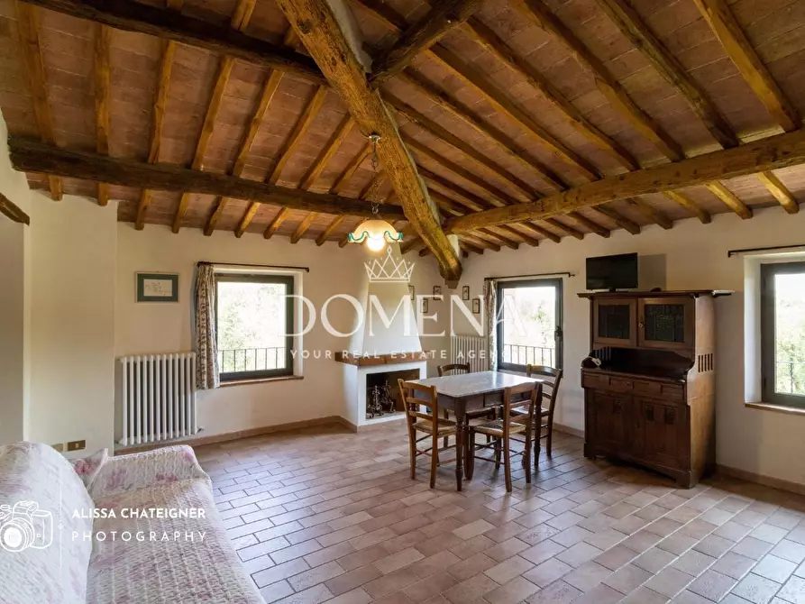 Immagine 26 di Casa colonica in vendita  a Siena