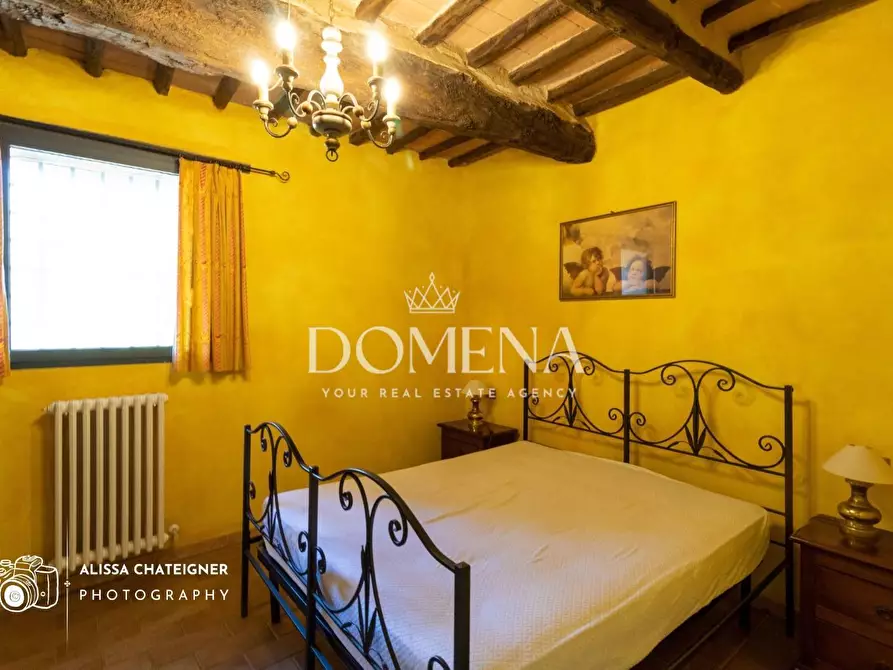 Immagine 16 di Casa colonica in vendita  a Siena