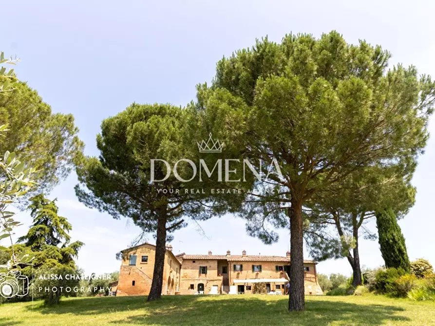 Immagine 2 di Casa colonica in vendita  a Siena