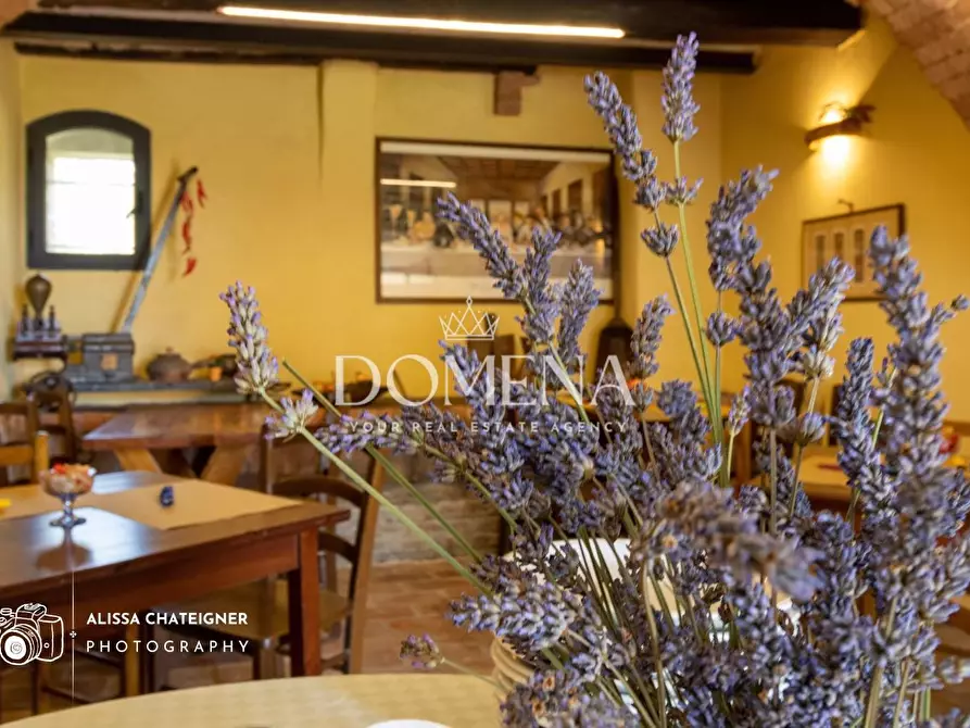 Immagine 38 di Casa colonica in vendita  a Siena