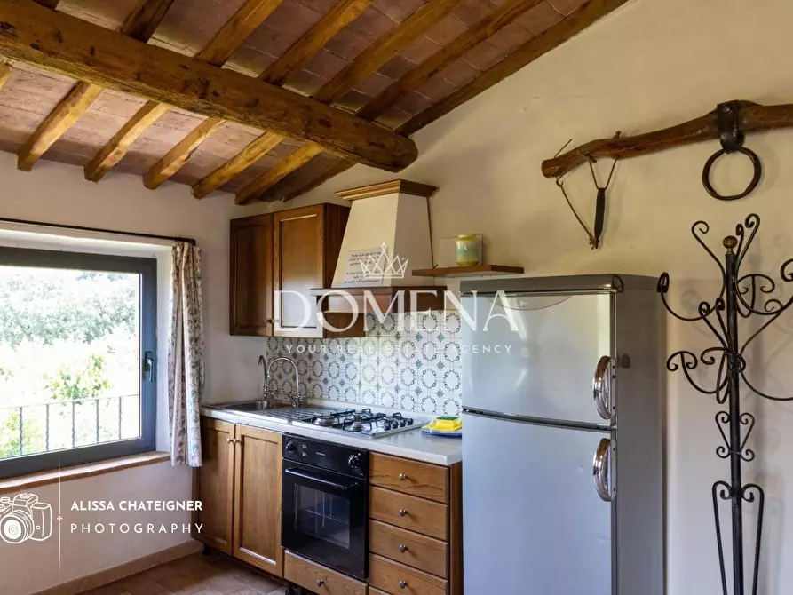 Immagine 25 di Casa colonica in vendita  a Siena