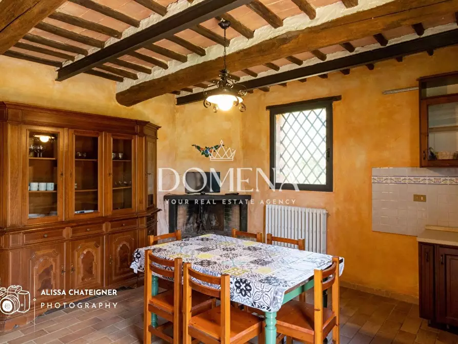 Immagine 20 di Casa colonica in vendita  a Siena