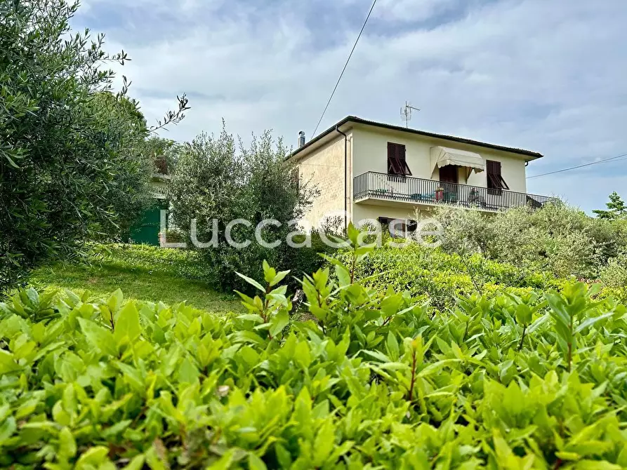 Immagine 3 di Appartamento in vendita  a Lucca