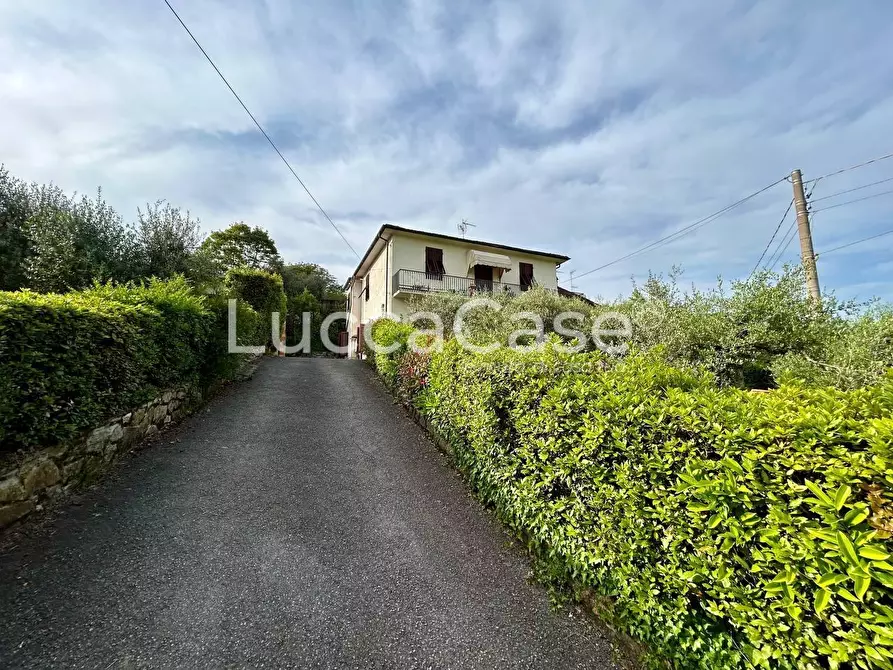 Immagine 5 di Appartamento in vendita  a Lucca