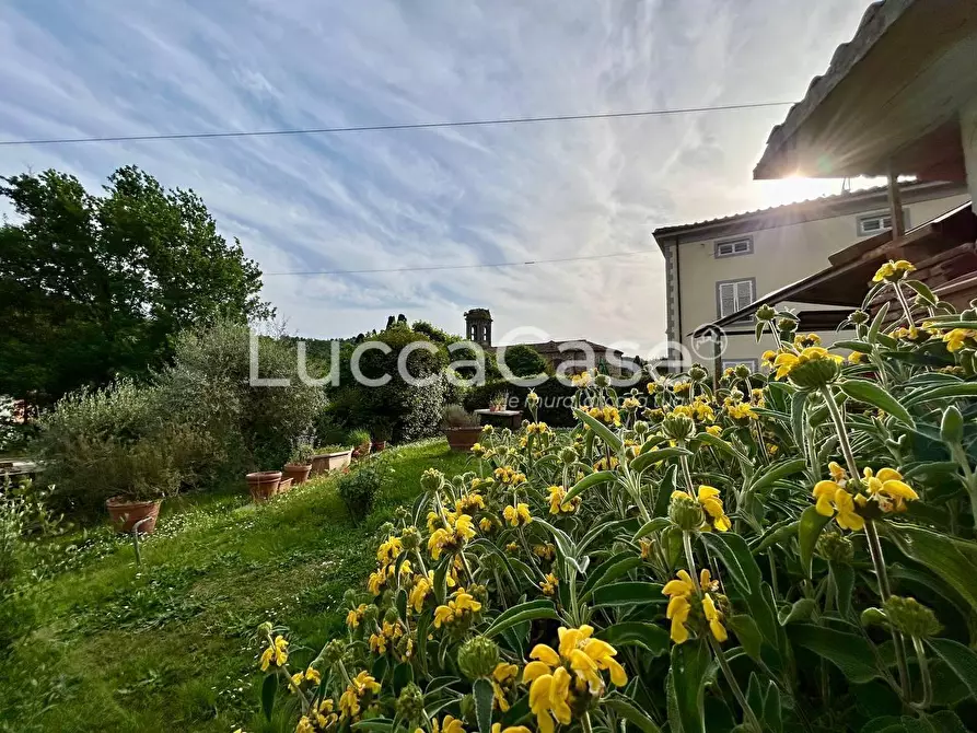 Immagine 39 di Appartamento in vendita  a Lucca