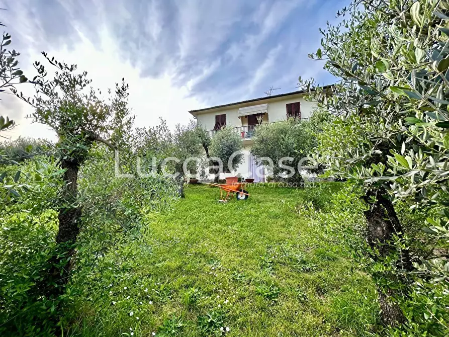 casa indipendente in vendita a Lucca in zona Mutigliano