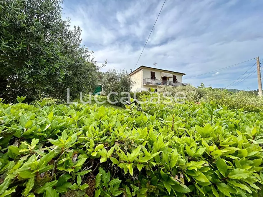 Immagine 2 di Appartamento in vendita  a Lucca