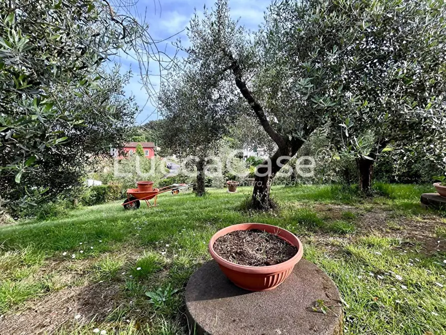 Immagine 29 di Appartamento in vendita  a Lucca