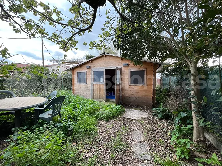 Immagine 19 di Terratetto in vendita  a Pisa