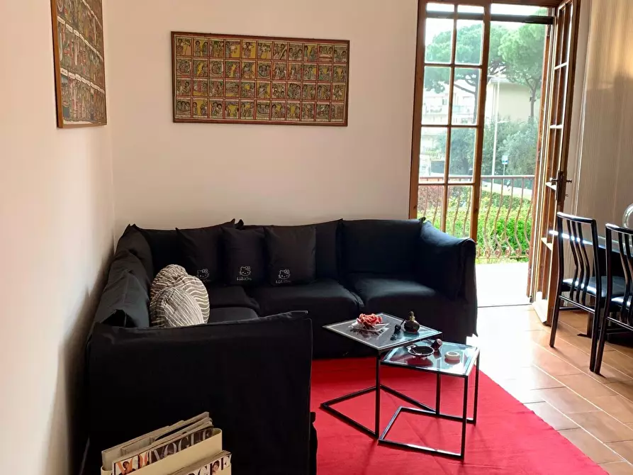 Immagine 17 di Appartamento in affitto  a Seravezza