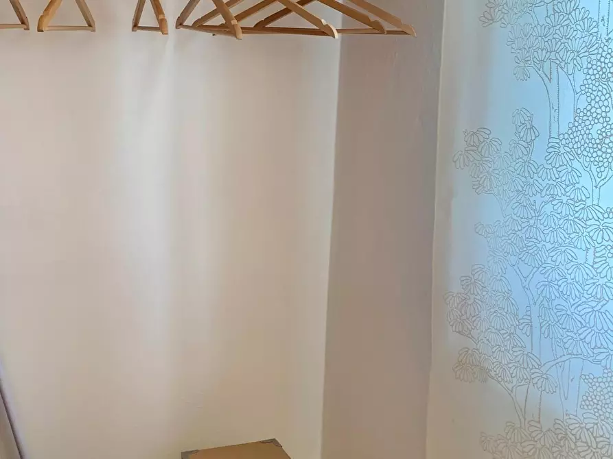 Immagine 24 di Appartamento in affitto  a Seravezza