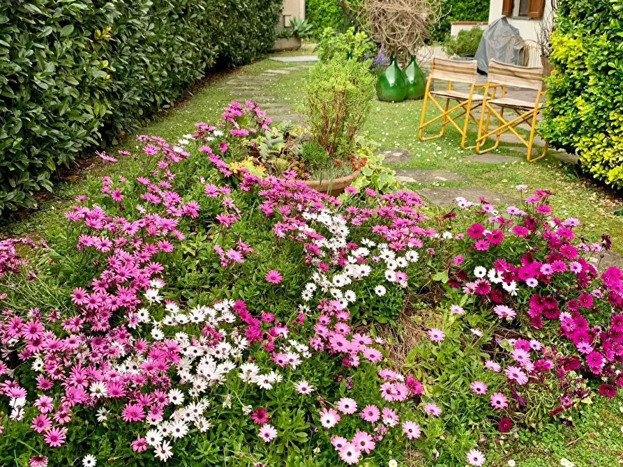 Immagine 32 di Appartamento in affitto  a Seravezza