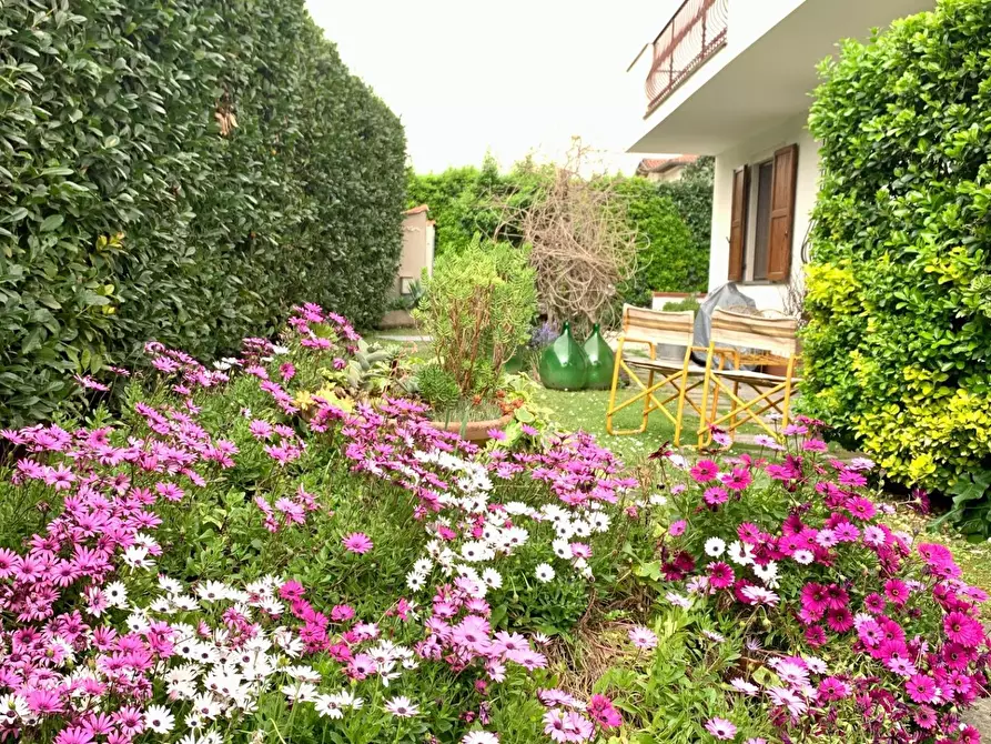 Immagine 33 di Appartamento in affitto  a Seravezza