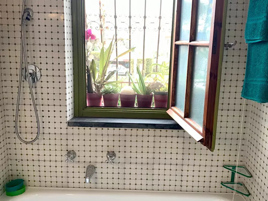 Immagine 5 di Appartamento in affitto  a Seravezza