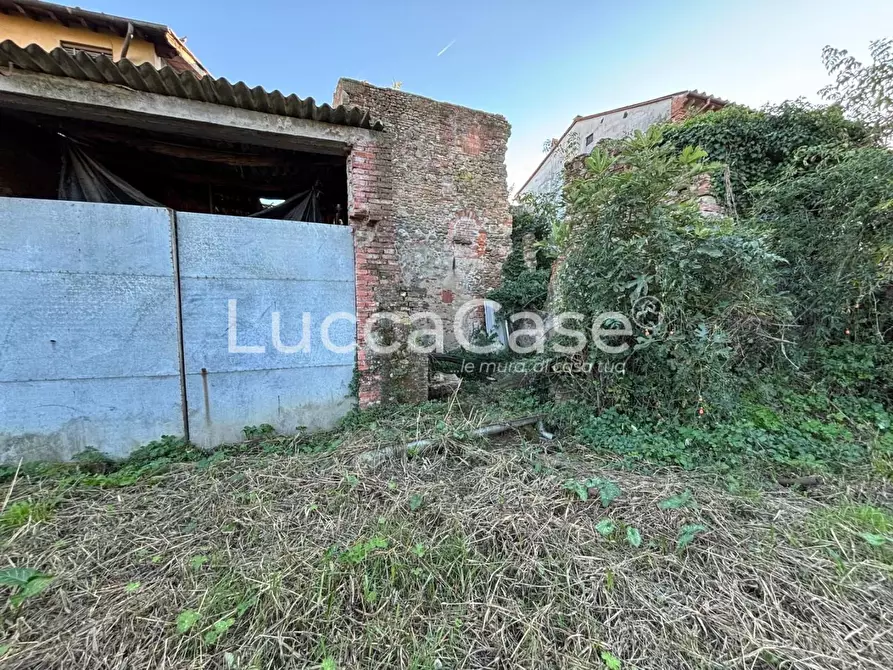 Immagine 7 di Terratetto in vendita  a Capannori